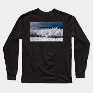 Winter Scene  with the Mountains in the background. Long Sleeve T-Shirt